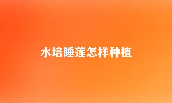 水培睡莲怎样种植