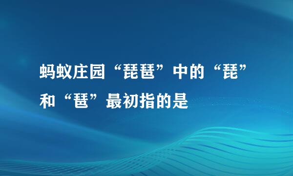 蚂蚁庄园“琵琶”中的“琵”和“琶”最初指的是