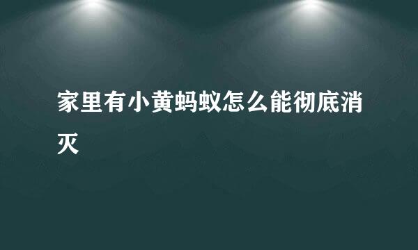 家里有小黄蚂蚁怎么能彻底消灭