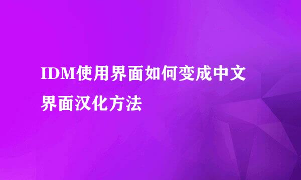 IDM使用界面如何变成中文 界面汉化方法