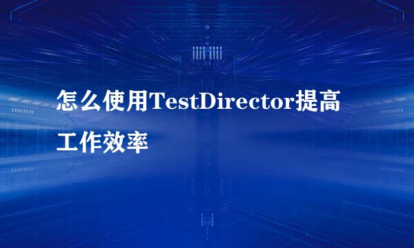 怎么使用TestDirector提高工作效率
