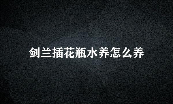 剑兰插花瓶水养怎么养