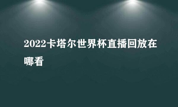 2022卡塔尔世界杯直播回放在哪看