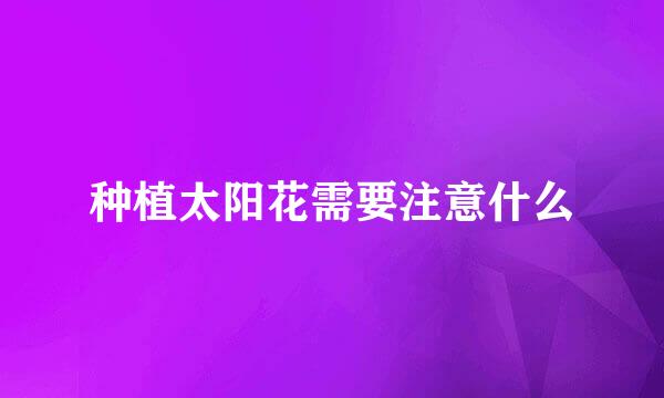 种植太阳花需要注意什么