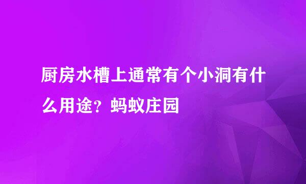 厨房水槽上通常有个小洞有什么用途？蚂蚁庄园