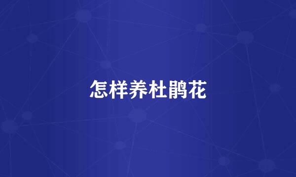 怎样养杜鹃花