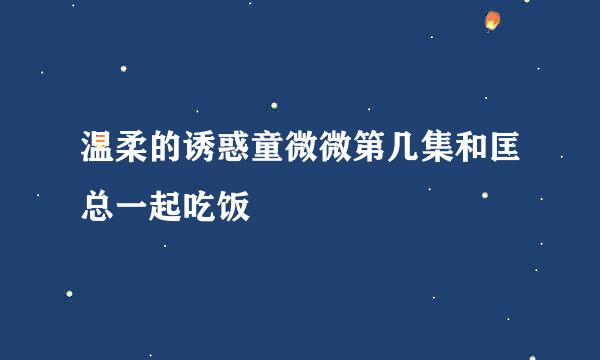 温柔的诱惑童微微第几集和匡总一起吃饭