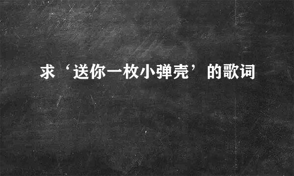 求‘送你一枚小弹壳’的歌词