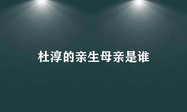 杜淳的亲生母亲是谁