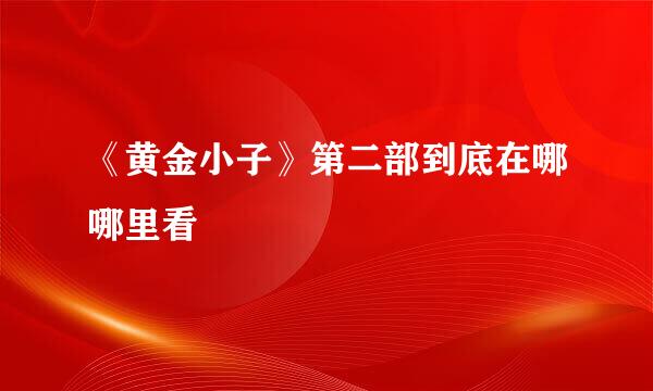 《黄金小子》第二部到底在哪哪里看