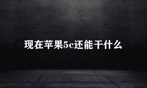 现在苹果5c还能干什么