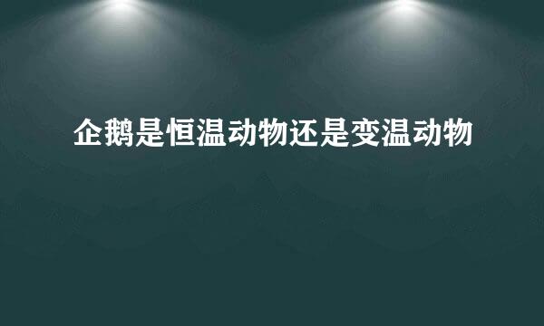 企鹅是恒温动物还是变温动物