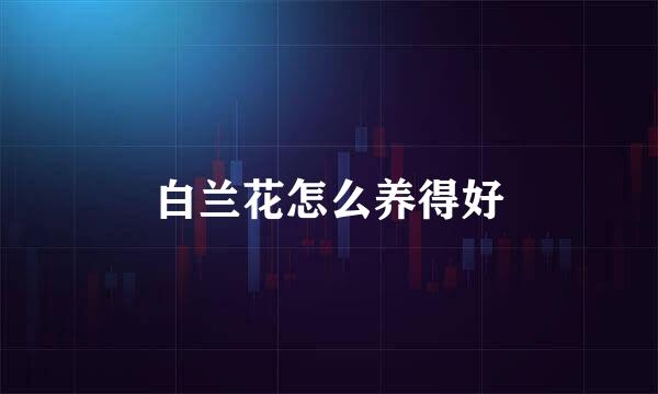 白兰花怎么养得好