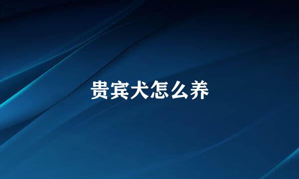 贵宾犬怎么养