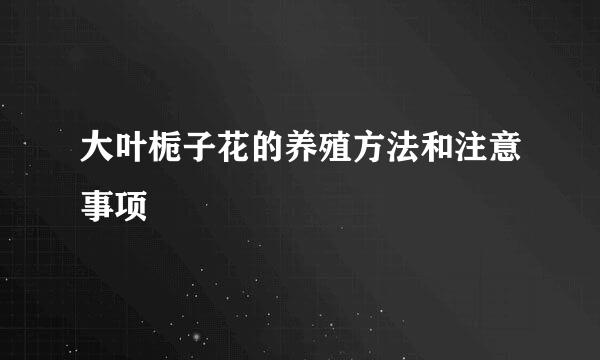大叶栀子花的养殖方法和注意事项
