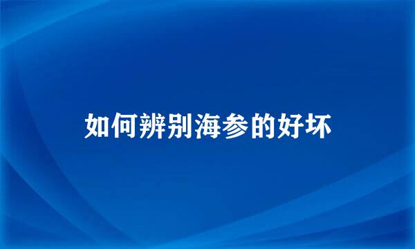 如何辨别海参的好坏