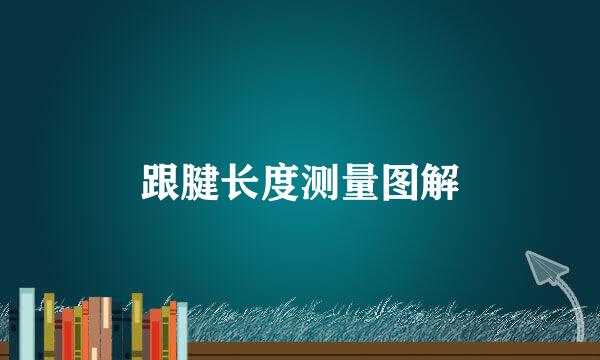 跟腱长度测量图解