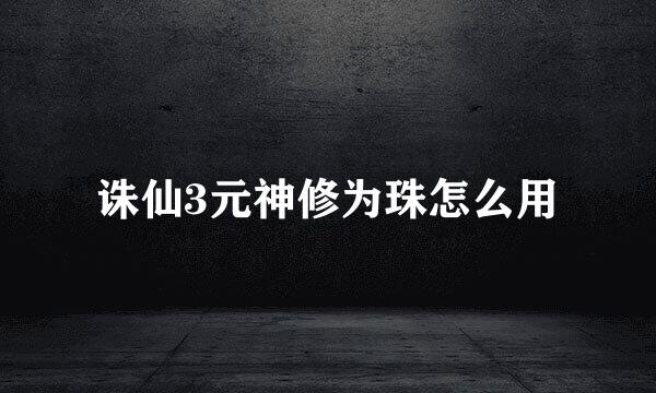 诛仙3元神修为珠怎么用