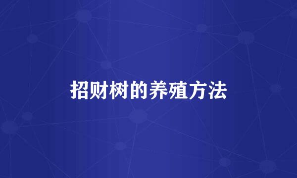 招财树的养殖方法