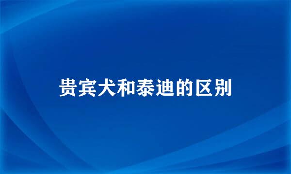 贵宾犬和泰迪的区别