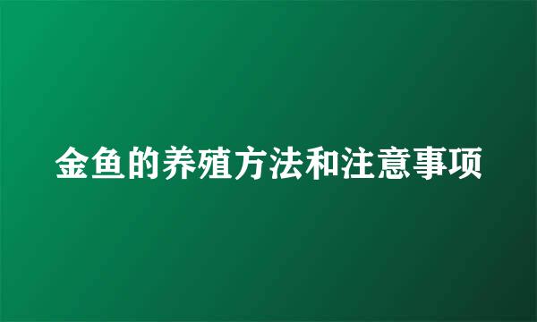 金鱼的养殖方法和注意事项
