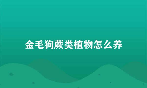 金毛狗蕨类植物怎么养