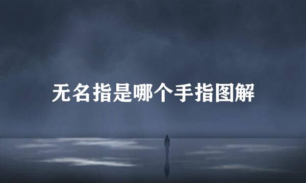 无名指是哪个手指图解