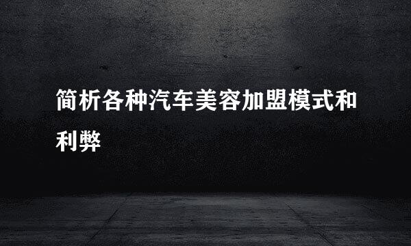 简析各种汽车美容加盟模式和利弊