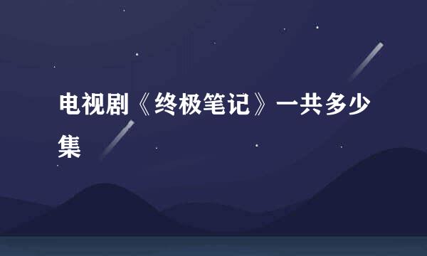 电视剧《终极笔记》一共多少集