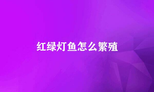 红绿灯鱼怎么繁殖