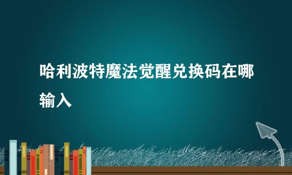 哈利波特魔法觉醒兑换码在哪输入