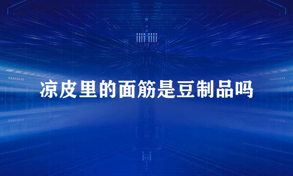 凉皮里的面筋是豆制品吗