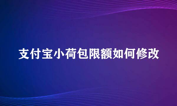 支付宝小荷包限额如何修改