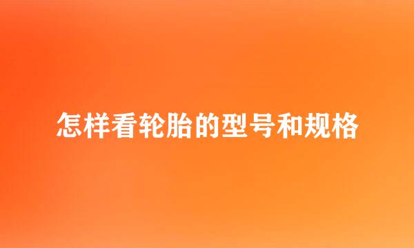 怎样看轮胎的型号和规格