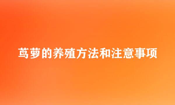 茑萝的养殖方法和注意事项