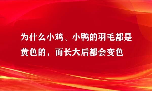 为什么小鸡、小鸭的羽毛都是黄色的，而长大后都会变色