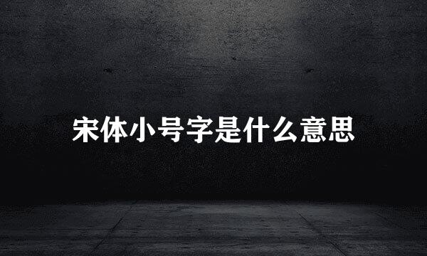 宋体小号字是什么意思