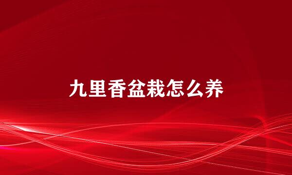 九里香盆栽怎么养