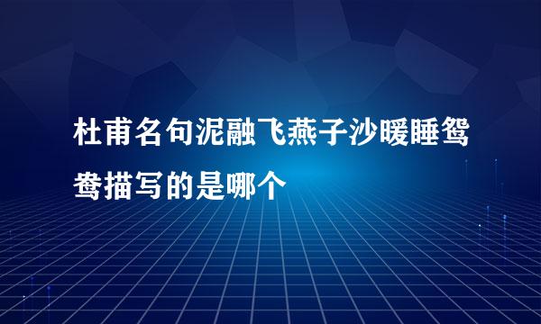 杜甫名句泥融飞燕子沙暖睡鸳鸯描写的是哪个