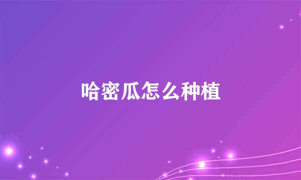 哈密瓜怎么种植
