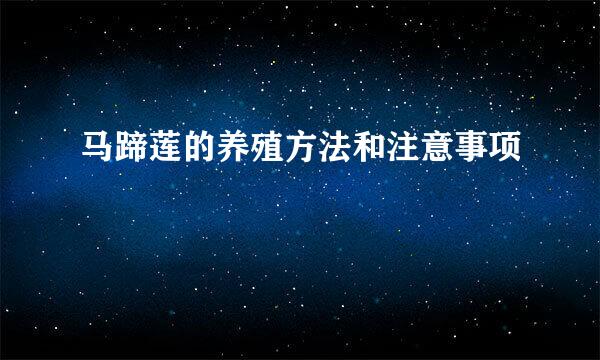 马蹄莲的养殖方法和注意事项
