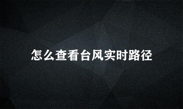 怎么查看台风实时路径
