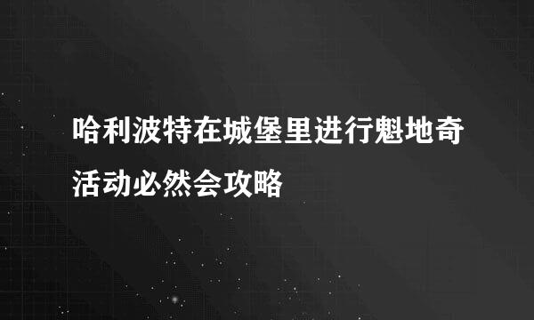 哈利波特在城堡里进行魁地奇活动必然会攻略