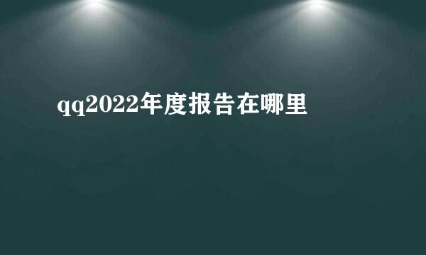 qq2022年度报告在哪里
