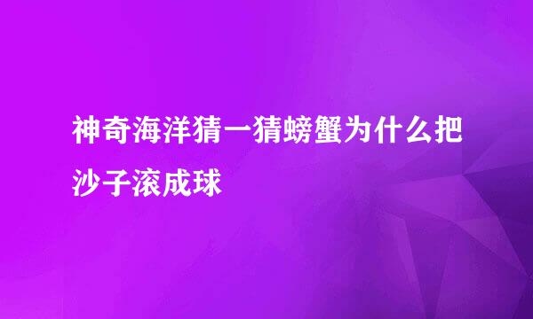 神奇海洋猜一猜螃蟹为什么把沙子滚成球