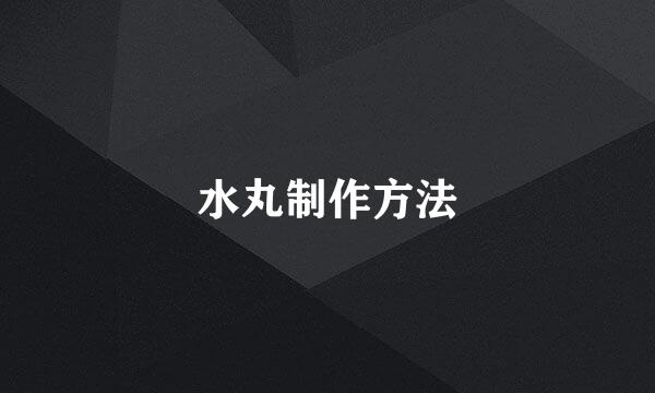 水丸制作方法