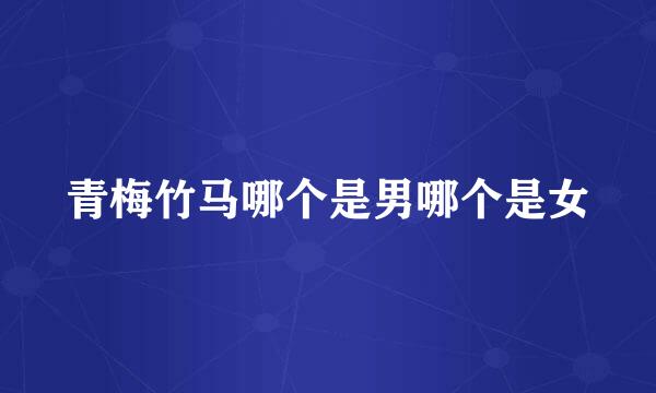 青梅竹马哪个是男哪个是女