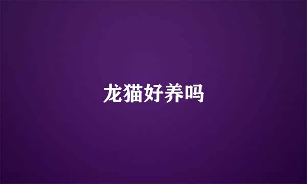 龙猫好养吗