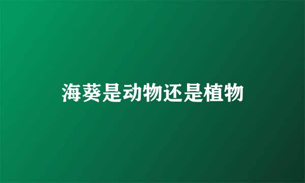 海葵是动物还是植物