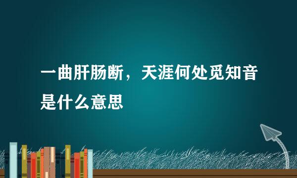 一曲肝肠断，天涯何处觅知音是什么意思